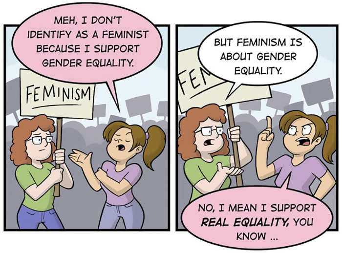 Feminism Gender Equality Comics 598c18b2d653a700 Vicious Kangaroo 5941