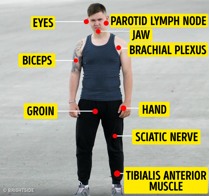 list-of-pressure-points-in-the-human-body-pressure-points-body-human