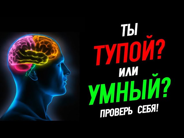 Проверь умные