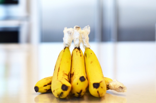 6967360 Bananas Last Longer 12 760 503 1475130958 650 C6ae0764cc 6967360 Bananas Last Longer 12 760 503 1475130958 650 C6ae0764cc 1484824499 Vicious Kangaroo